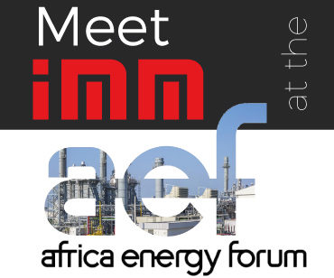 IMM participates at the Africa Energy Forum 2019.